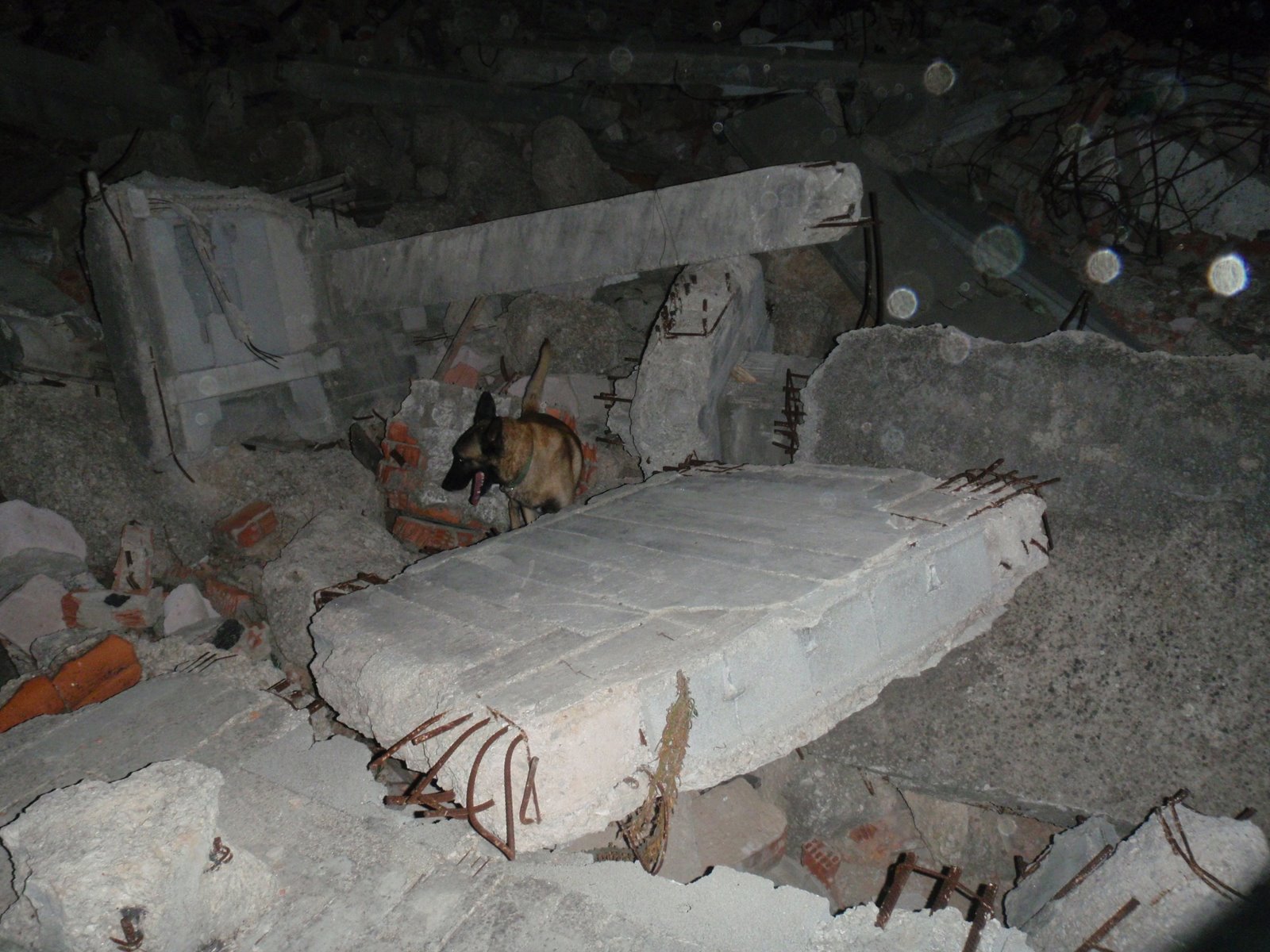 [2009[1].09.11+Valencia+09+047.JPG]